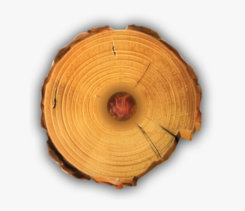 Wood,tree,circle,plant - Wood Log Top Png, Transparent Png, Free Download