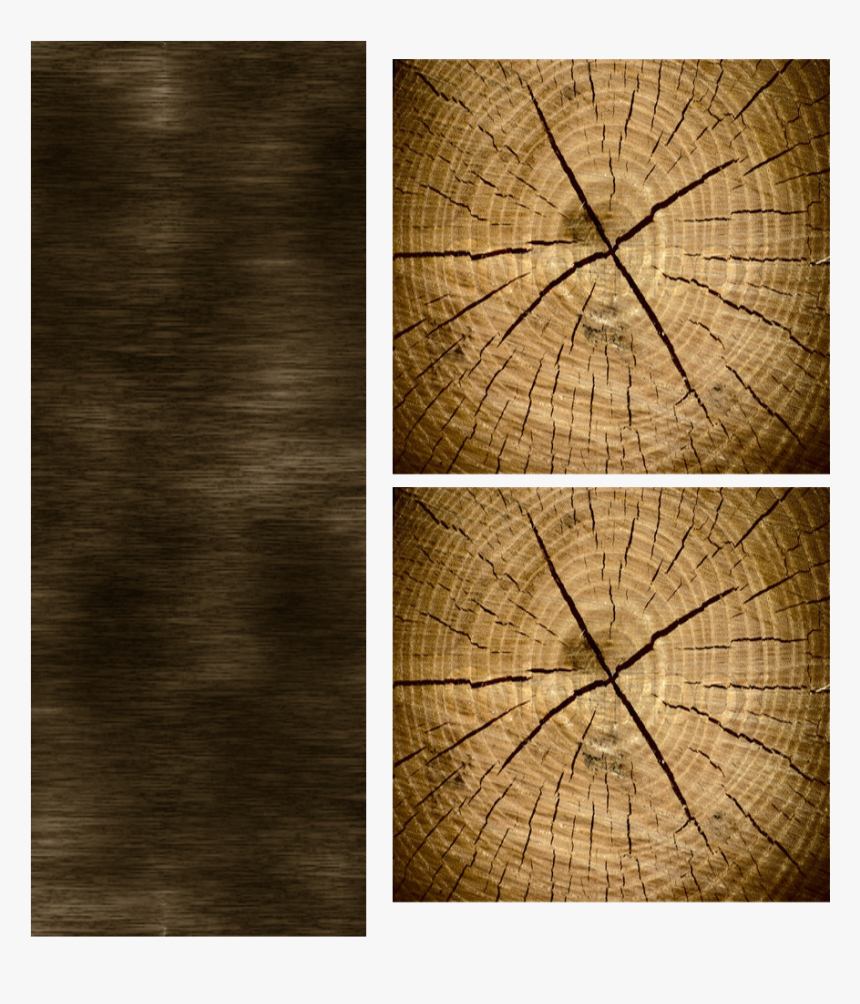 Wood - Wood Log Texture Png, Transparent Png, Free Download