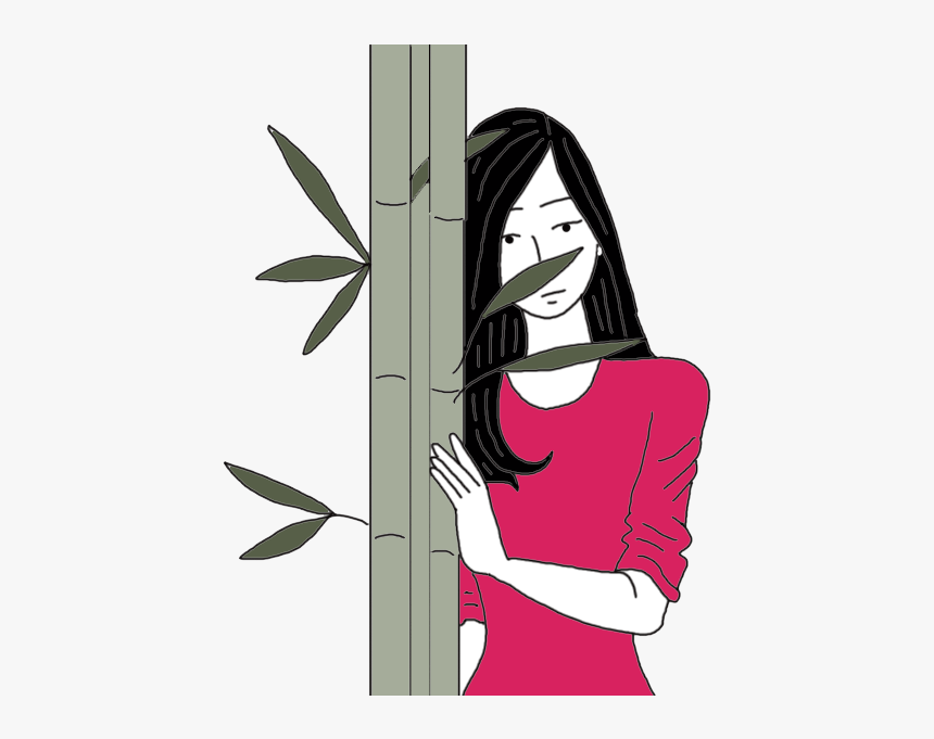 Bamboo - Illustration, HD Png Download, Free Download
