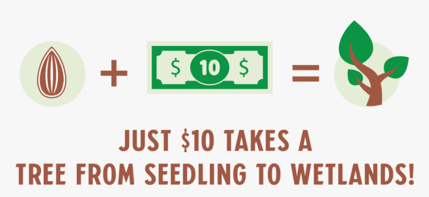 Just $10 Takes A Tree From Seedling To Wetlands - Sign, HD Png Download, Free Download