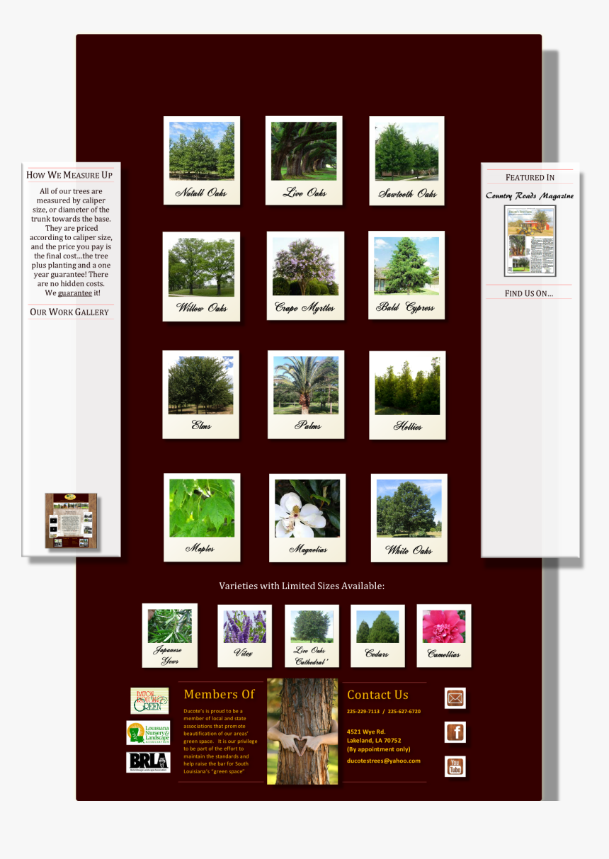 Brochure, HD Png Download, Free Download