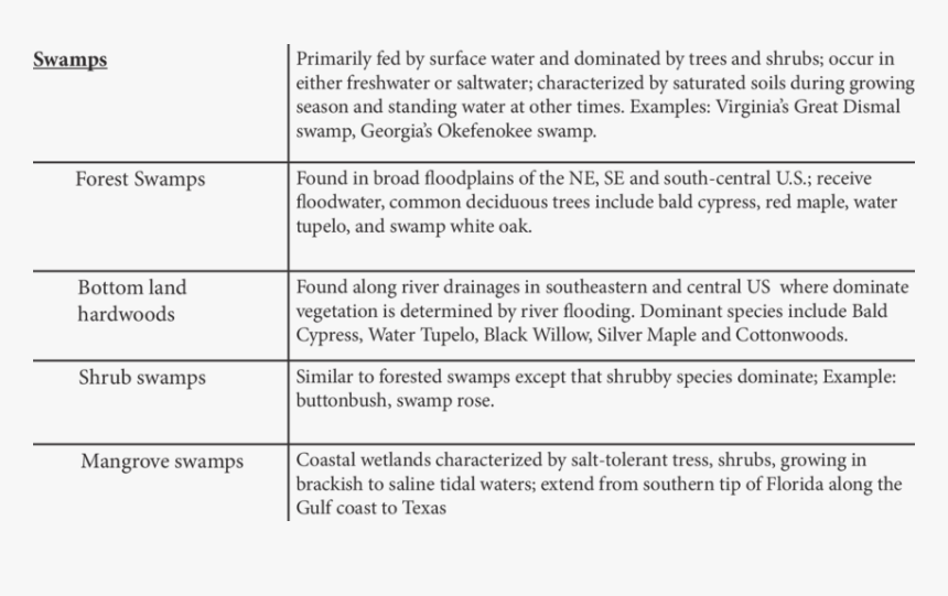 Types Of Wetlands Continued Wetland Types  - Sachverständiger, HD Png Download, Free Download
