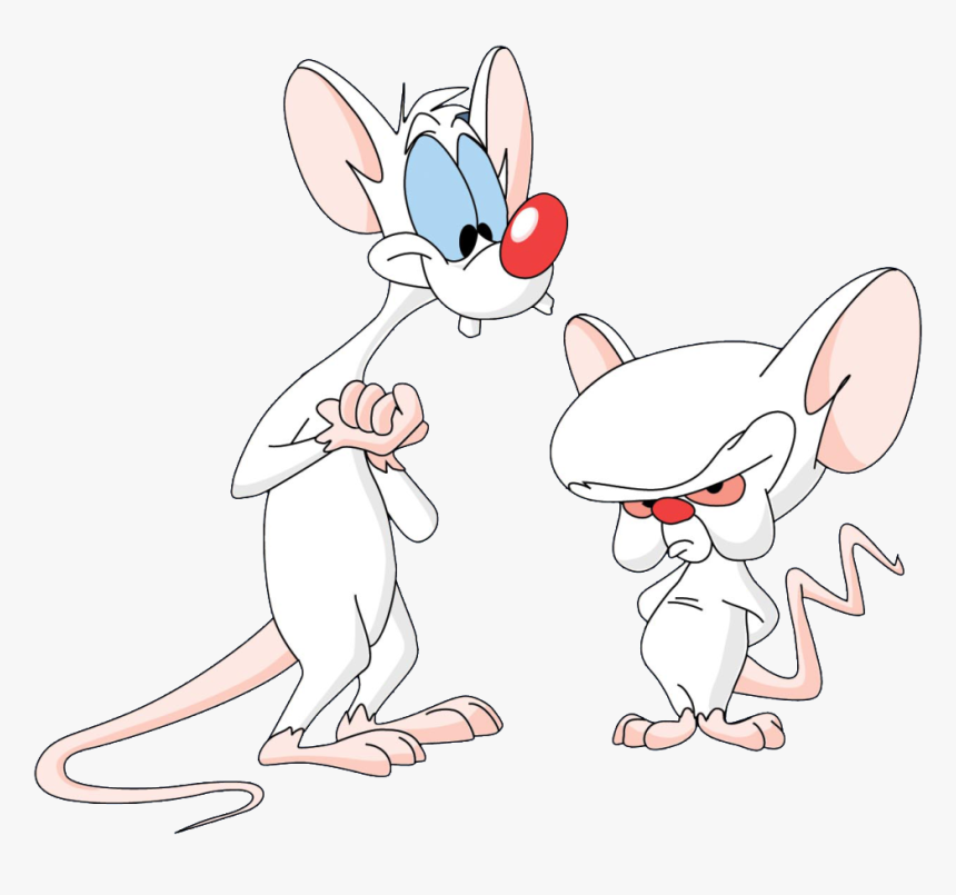 A Pinky And The Brain - Pinky And The Brain Png, Transparent Png, Free Download