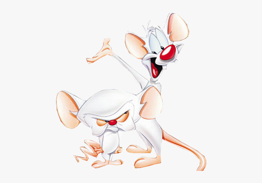 Pinky And The Brain Animaniacs Characters, HD Png Download, Free Download