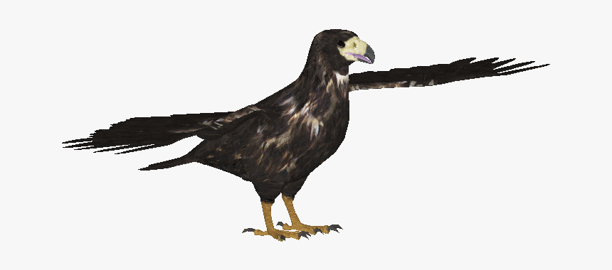 Imperial Eagle Png, Transparent Png, Free Download