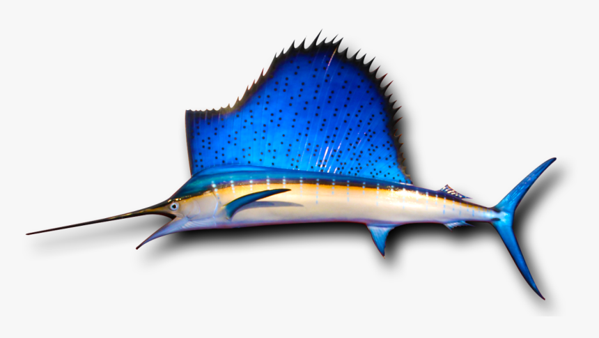 Atlantic Blue Marlin, HD Png Download, Free Download