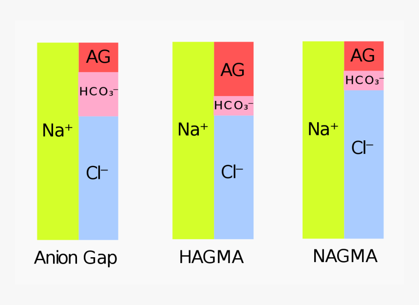 Anion Gap Hagma Nagma, HD Png Download, Free Download