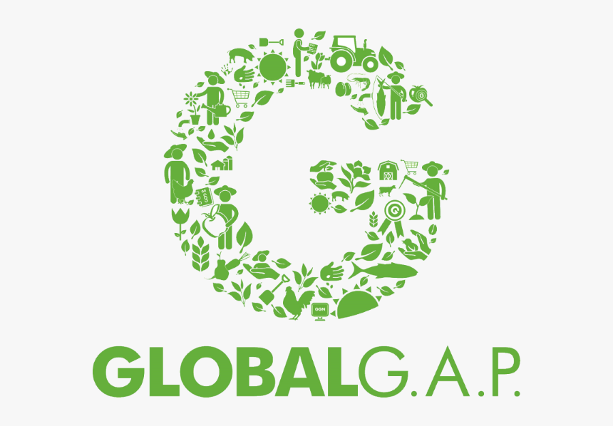 Globalgap Farm Assurance - Global Gap Logo Vector, HD Png Download, Free Download