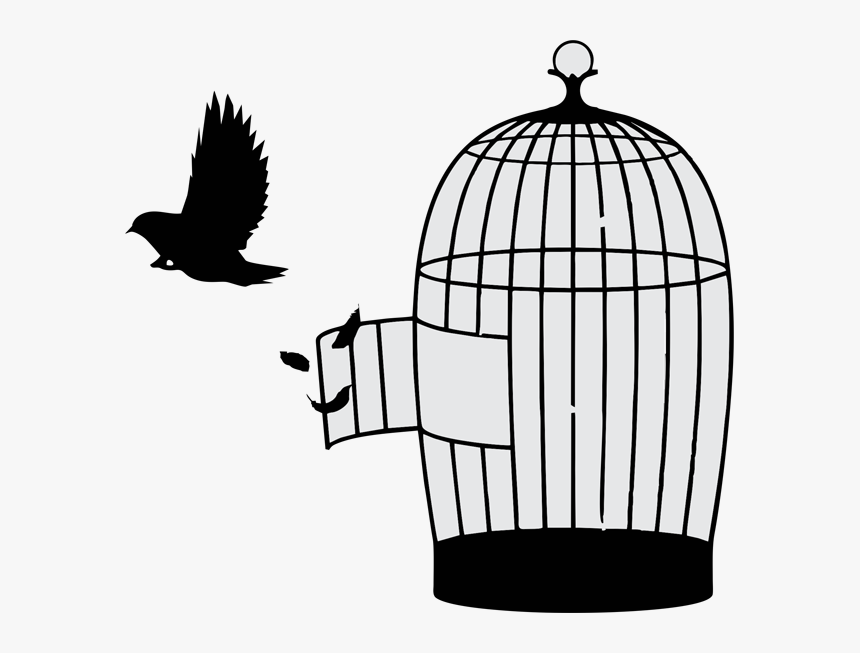 As Design Strategy Consultancy, We Bridge The Gap Between - Bird Flying Away From Cage, HD Png Download, Free Download