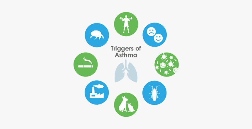 Trigger1 - Asthma Triggers Png, Transparent Png, Free Download