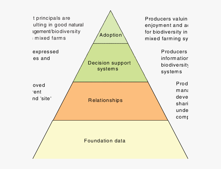 Transparent Pyramid Hierarchy - Pyramid Of Biodiversity, HD Png Download, Free Download