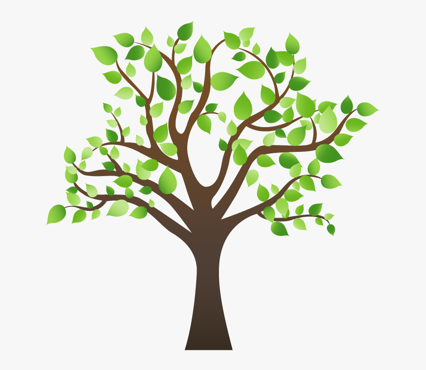 Arbol De Objetivos, HD Png Download, Free Download