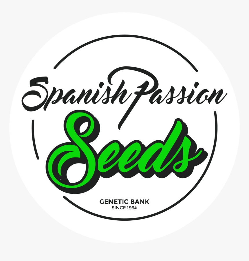 Spanish Passion Seeds Sudaderas, HD Png Download, Free Download