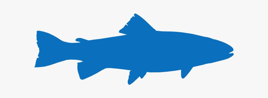 Fish Icon - Trout Stencil, HD Png Download, Free Download