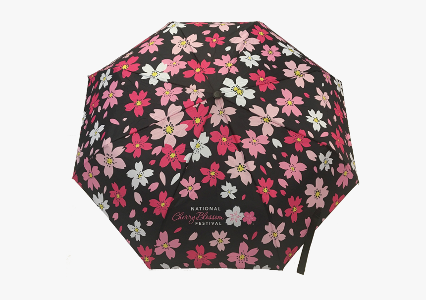Umbrella New - Umbrella, HD Png Download, Free Download