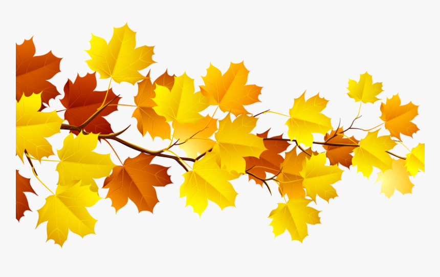 Autumn Tree Leaf Png, Transparent Png, Free Download