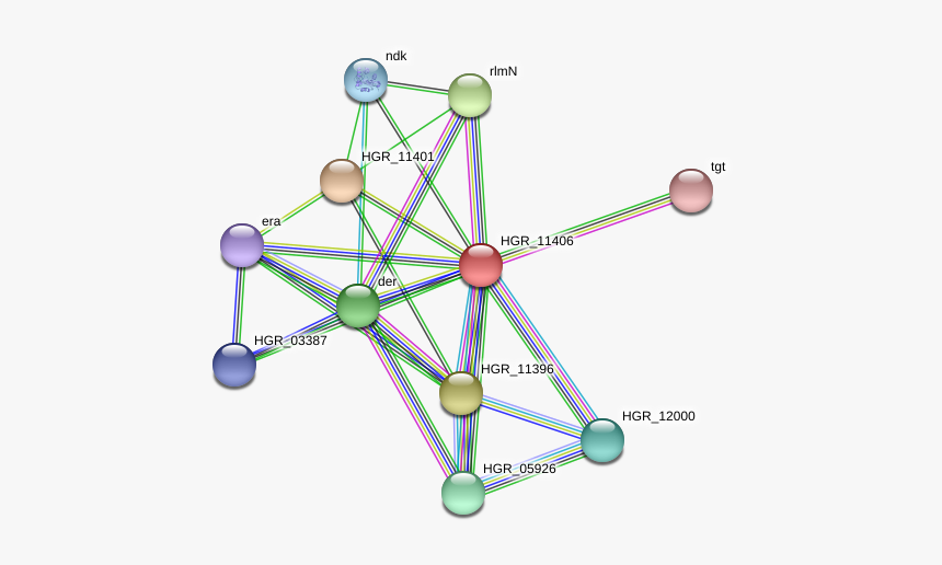 Hgr 11406 Protein - Circle, HD Png Download, Free Download