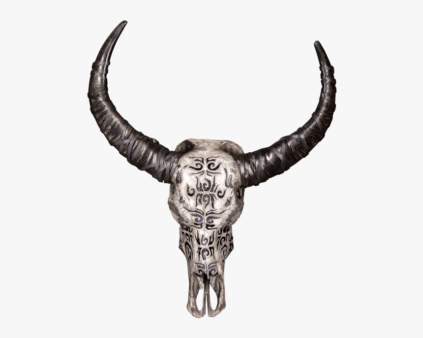 Skull, HD Png Download, Free Download