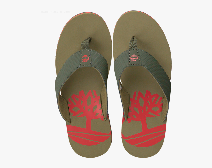 Slipper, HD Png Download, Free Download