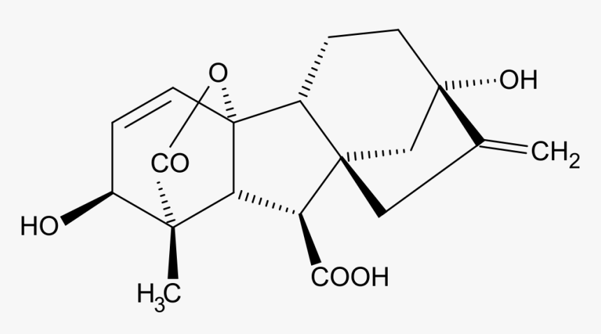 Chemical Structure Of Holy Basil, HD Png Download, Free Download