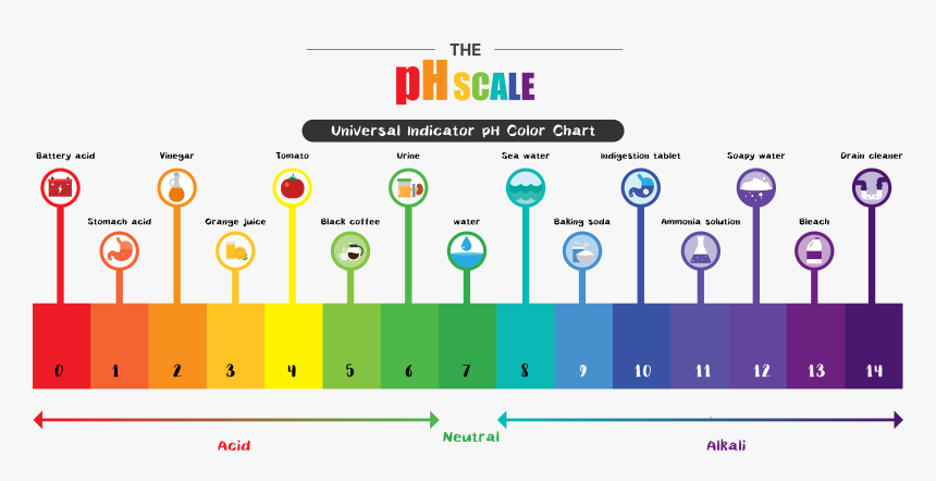 Ph Level, HD Png Download, Free Download