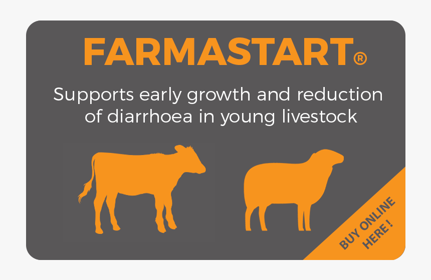 Farmastart - Dairy Cow, HD Png Download, Free Download