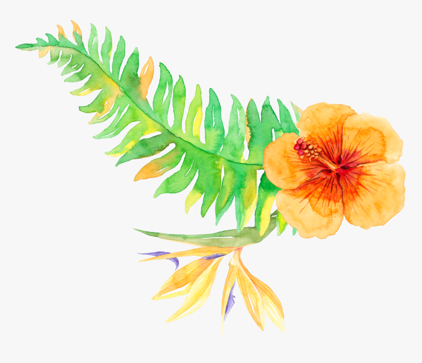 Tropical Tropics Plants Vegetation Download Free Image - Tropical Clipart Png, Transparent Png, Free Download