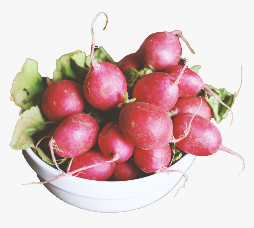 Bowl Of Radishes, HD Png Download, Free Download