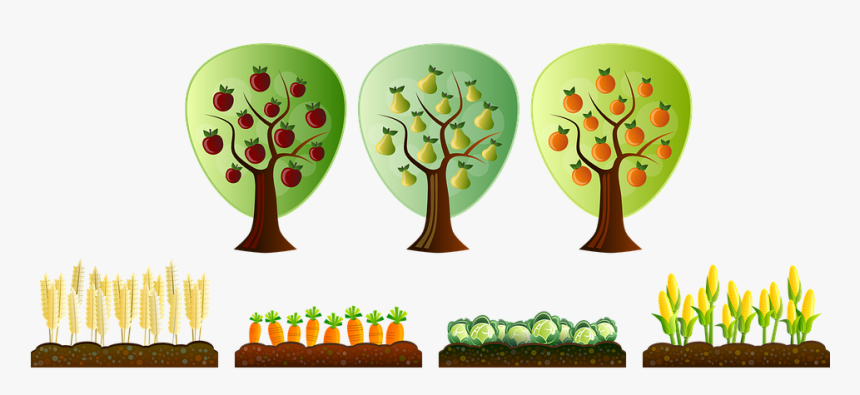 Crops Clipart, HD Png Download, Free Download