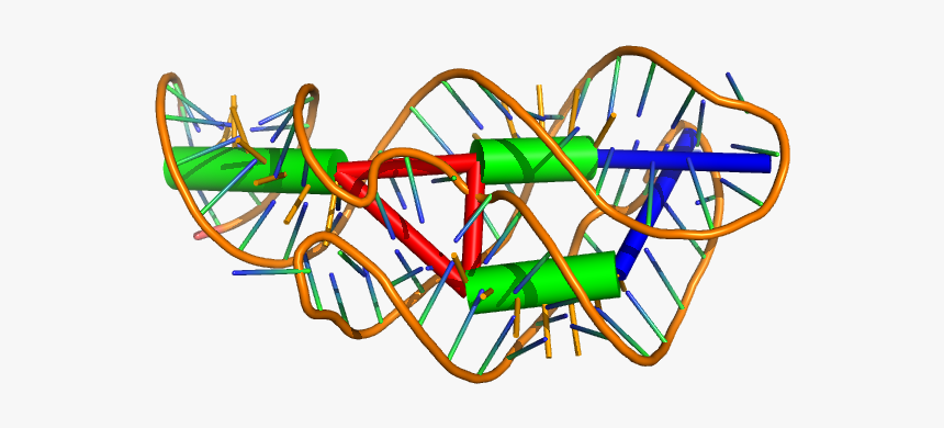 Images/1y26 Visualized - Rna 3d Png, Transparent Png, Free Download