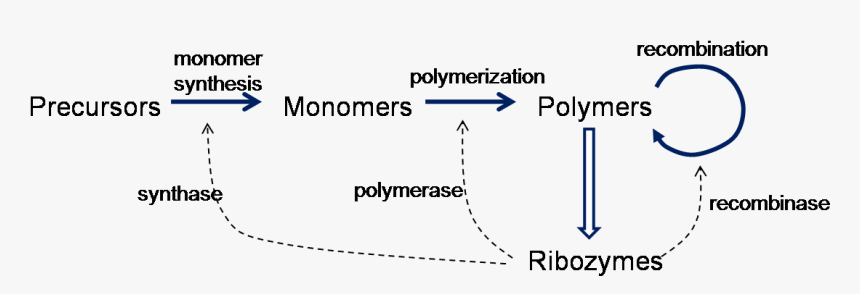 Ribozyme Rna World, HD Png Download, Free Download