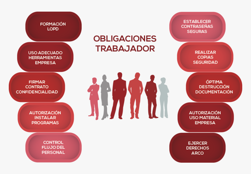Obligacion Informar A Trabajadores - Derechos Y Obligaciones De Los Trabajadores, HD Png Download, Free Download