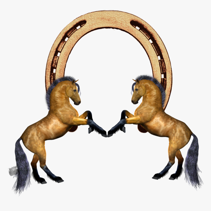 #caballos #horses #charros #mexico - Charros Png, Transparent Png, Free Download