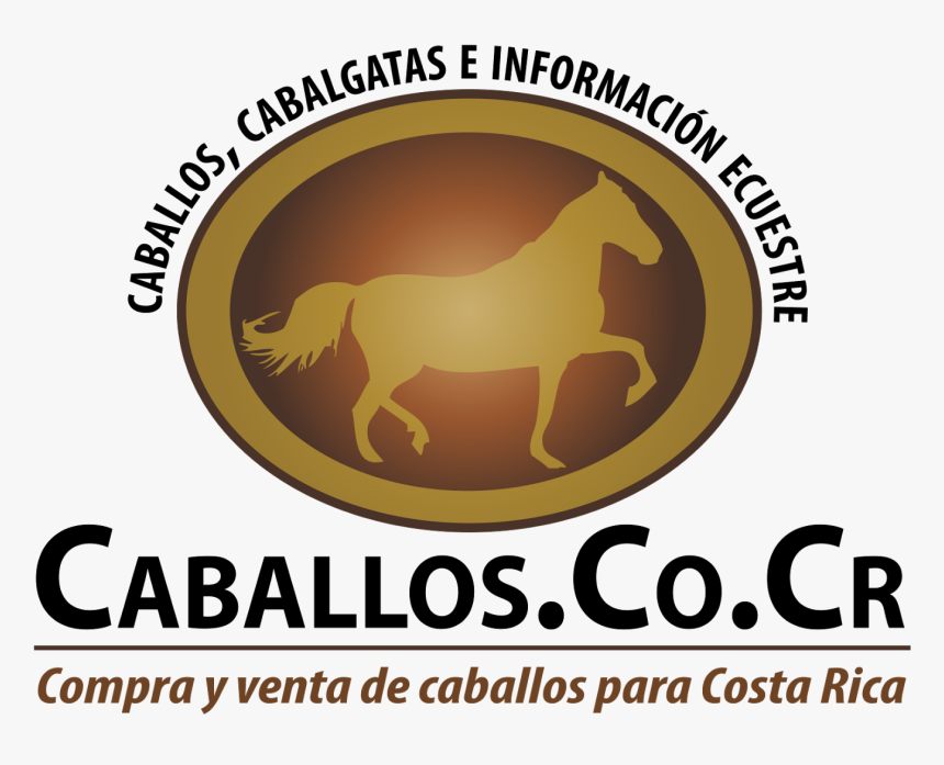 Caballos De Costa Rica, HD Png Download, Free Download