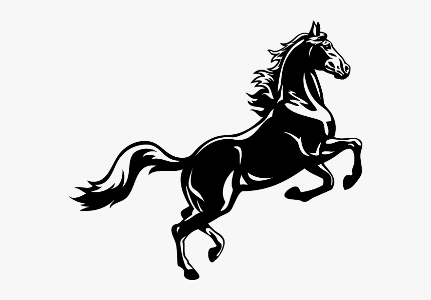 Clip Art Horse Illustrations - Horse Black And White, HD Png Download, Free Download