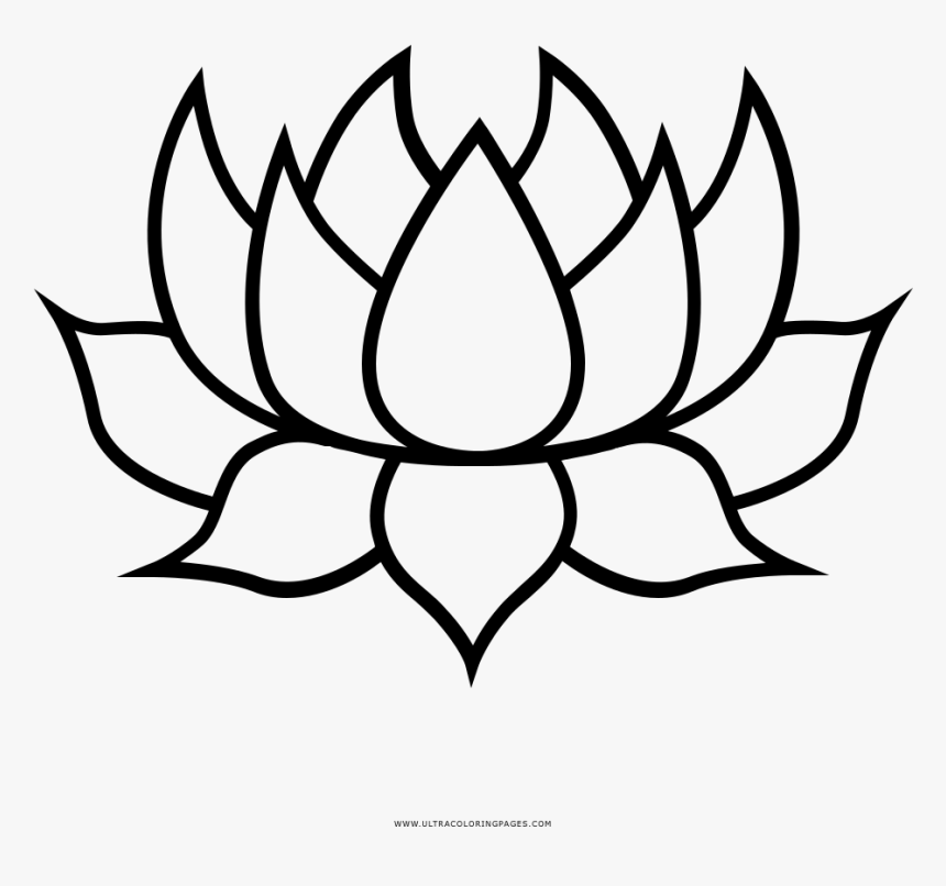 Thumb Image - Transparent Background Lotus Clipart Black And White, HD Png ...
