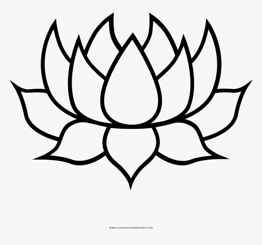 Thumb Image - Transparent Background Lotus Clipart Black And White, HD Png Download, Free Download