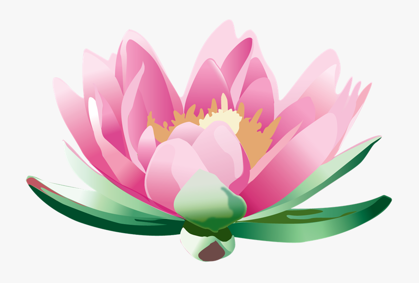 Thumb Image - Wellness For Women Massage, HD Png Download, Free Download