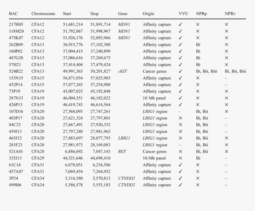 List Of Chromosomes Gene, HD Png Download, Free Download
