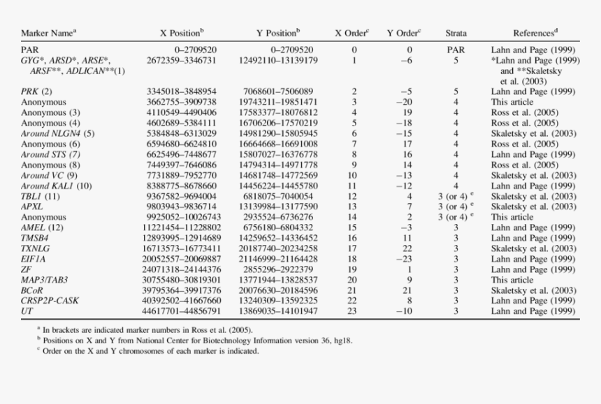 X And Y Chromosome Table, HD Png Download, Free Download