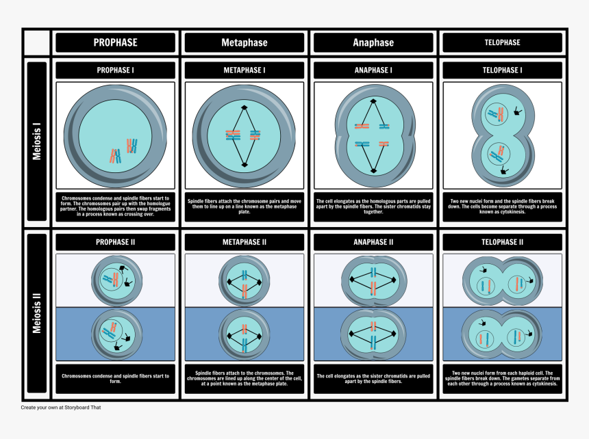 Juxtaposition Examples, HD Png Download, Free Download