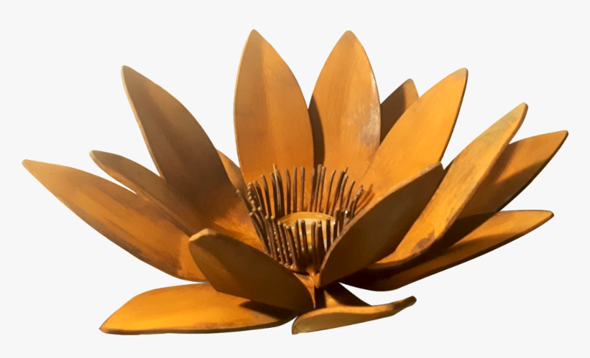 Flor De Loto Escultura - Sacred Lotus, HD Png Download, Free Download