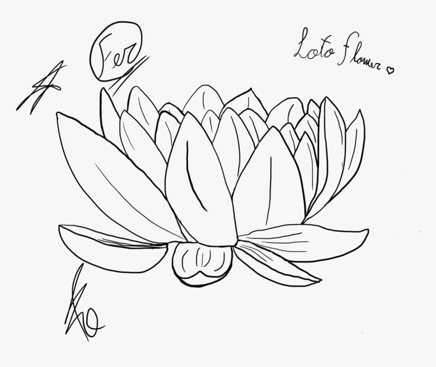 Flor De Loto - Line Art, HD Png Download, Free Download