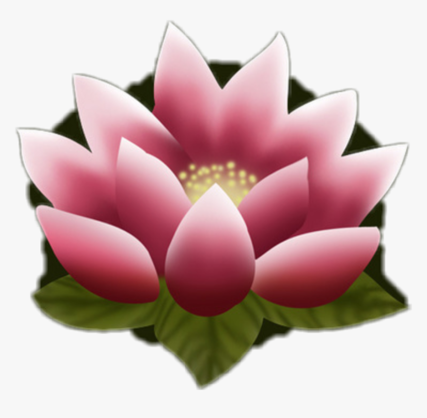 #flor De Loto #freetoedit - Mulan Lotus Flower, HD Png Download, Free Download