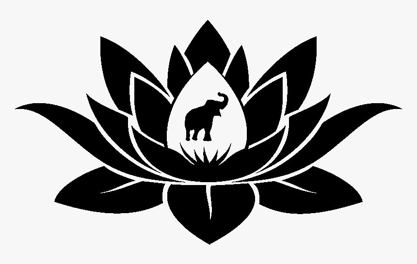 Fleur De Lotus Et Éléphant, HD Png Download, Free Download