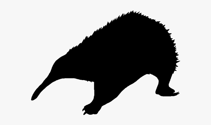 Silhouette Flying Squirrel Animal - Punxsutawney Phil, HD Png Download, Free Download