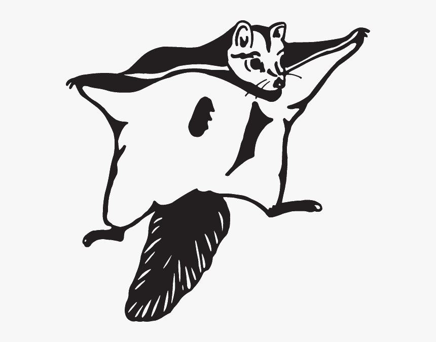 Flying Squirrel Stencil, HD Png Download, Free Download