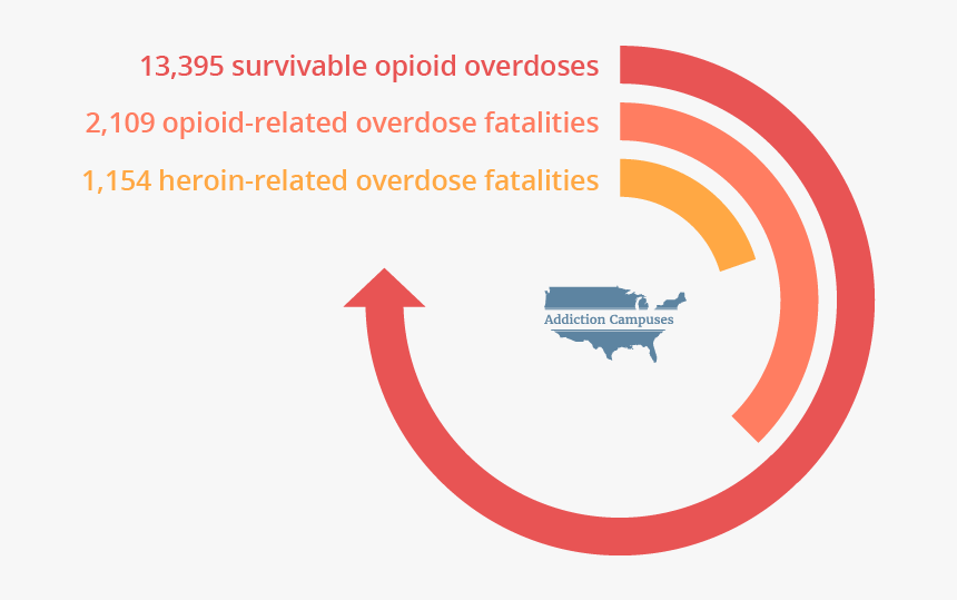 Com Illinois Opioid Overdoses - Addiction Campuses, HD Png Download, Free Download