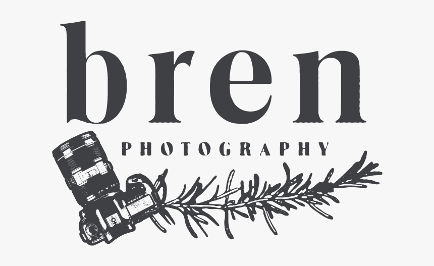Bren Photography - Christmas Tree, HD Png Download, Free Download