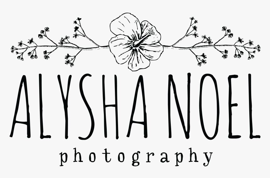 Alyshanoelphotologoblack - Calligraphy, HD Png Download, Free Download